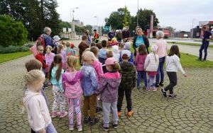 Akcja sadzenia krokusów (10)