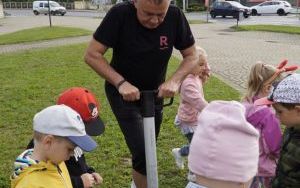 Akcja sadzenia krokusów (1)