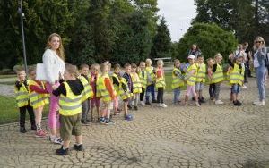 Akcja sadzenia krokusów (8)
