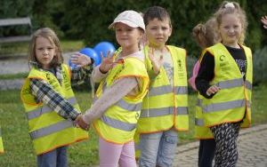 Akcja sadzenia krokusów (9)