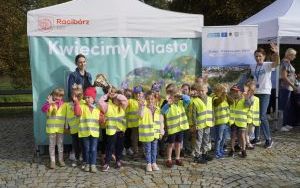 Akcja sadzenia krokusów (1)