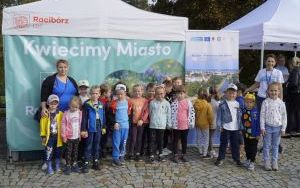 Akcja sadzenia krokusów (6)
