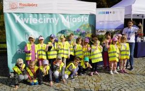 Akcja sadzenia krokusów (8)