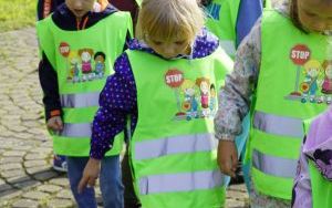 Akcja sadzenia krokusów (13)