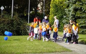 Akcja sadzenia krokusów (4)