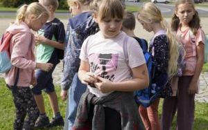 Akcja sadzenia krokusów (12)