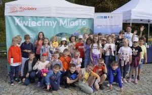 Akcja sadzenia krokusów (13)