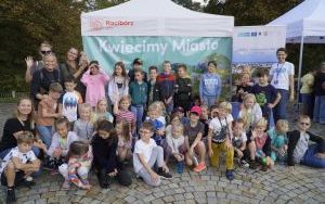 Akcja sadzenia krokusów (9)