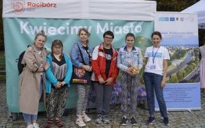 Akcja sadzenia krokusów (12)