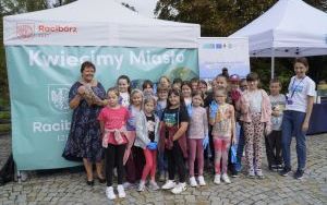 Akcja sadzenia krokusów (13)