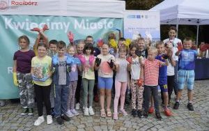 Akcja sadzenia krokusów (14)
