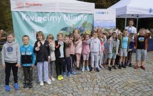 Akcja sadzenia krokusów (1)