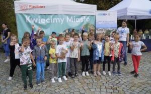 Akcja sadzenia krokusów (2)