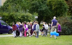 Akcja sadzenia krokusów (9)