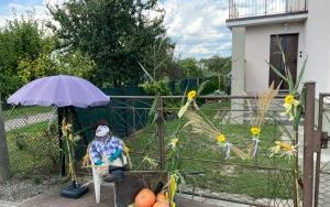 Dożynki Racibórz (4)