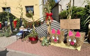Dożynki Racibórz (10)