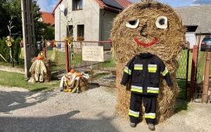 Dożynki Racibórz (17)