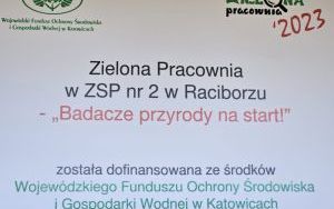 Zielona pracownia (9)