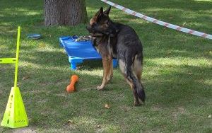 amy lato, witamy jesień - Święto Dyni w Ogródku Jordanowskim (16)