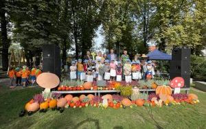Miejskie Święto Dyni (10)