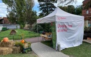 Miejskie Święto Dyni (7)