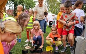 Święto Dyni przeżyjmy to jeszcze raz (1)
