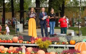 Święto Dyni przeżyjmy to jeszcze raz (11)