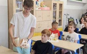 Ekorycerze (7)
