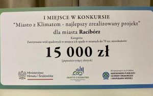Konkurs „Miasto z Klimatem - najlepszy zrealizowany projekt ” (2)
