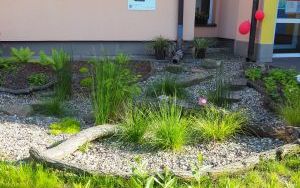 Konkurs „Miasto z Klimatem - najlepszy zrealizowany projekt ” (9)