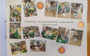 Dzienniczek od P 15 (11)