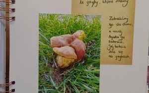 Dzienniczek od P 16 (12)