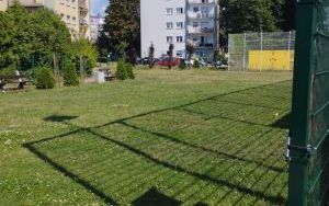 Ogród deszczowy przy SP 13 (1)