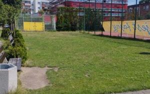 Ogród deszczowy przy SP 13 (2)