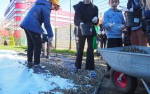 Uczniowie z SP13 sadzą rośliny w ogrodzie deszczowym (8)