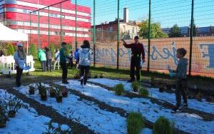 Uczniowie z SP13 sadzą rośliny w ogrodzie deszczowym (5)