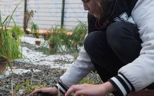 Uczniowie z SP13 sadzą rośliny w ogrodzie deszczowym (10)