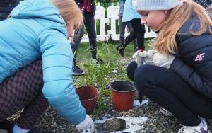 Uczniowie z SP13 sadzą rośliny w ogrodzie deszczowym (11)