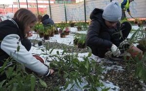 Uczniowie z SP13 sadzą rośliny w ogrodzie deszczowym (13)