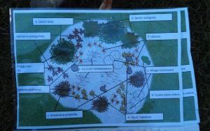 Uczniowie z SP13 sadzą rośliny w ogrodzie deszczowym (7)