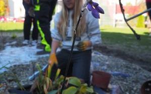 Uczniowie z SP13 sadzą rośliny w ogrodzie deszczowym (8)