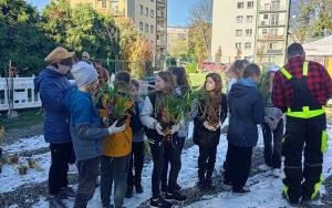 Uczniowie z SP13 sadzą rośliny w ogrodzie deszczowym (2)