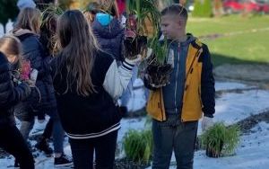 Uczniowie z SP13 sadzą rośliny w ogrodzie deszczowym (6)