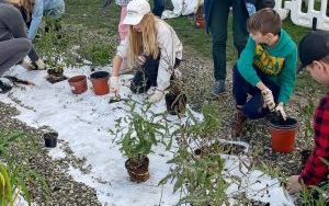 Uczniowie z SP13 sadzą rośliny w ogrodzie deszczowym (9)