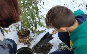 Uczniowie z SP13 sadzą rośliny w ogrodzie deszczowym (10)