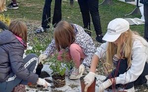 Uczniowie z SP13 sadzą rośliny w ogrodzie deszczowym (13)