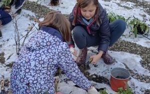 Uczniowie z SP13 sadzą rośliny w ogrodzie deszczowym (17)
