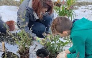 Uczniowie z SP13 sadzą rośliny w ogrodzie deszczowym (19)