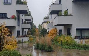 Pierwsze spotkanie w ramach Partnerskiej Inicjatywy Miast Alumni (8)