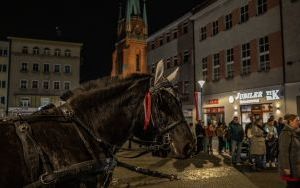 Święto Niepodległości w Raciborzu (20)